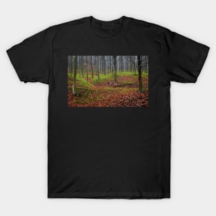 Enchanted forest in autumn T-Shirt